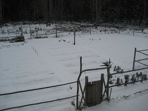 A Homesteader’s Winter Image